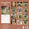 Norfolk/Norwich Terrier Calendar